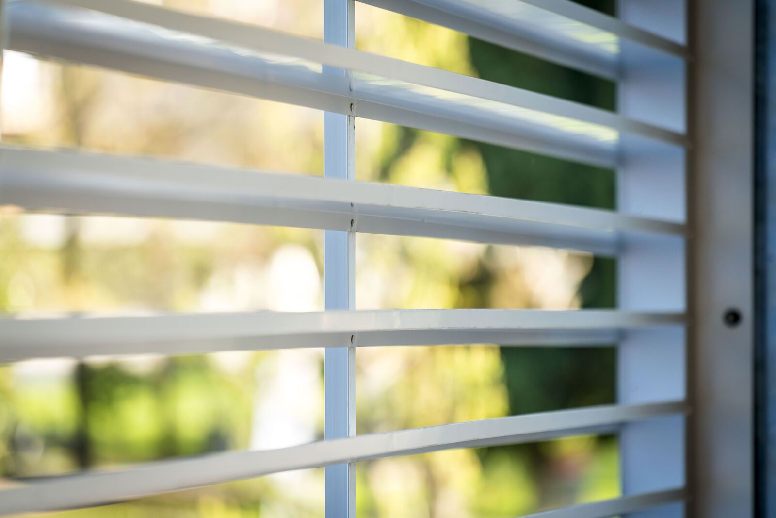 Edificio in acciaio Effevi per Scuola Primaria G. Zanella (251__9.jpg)