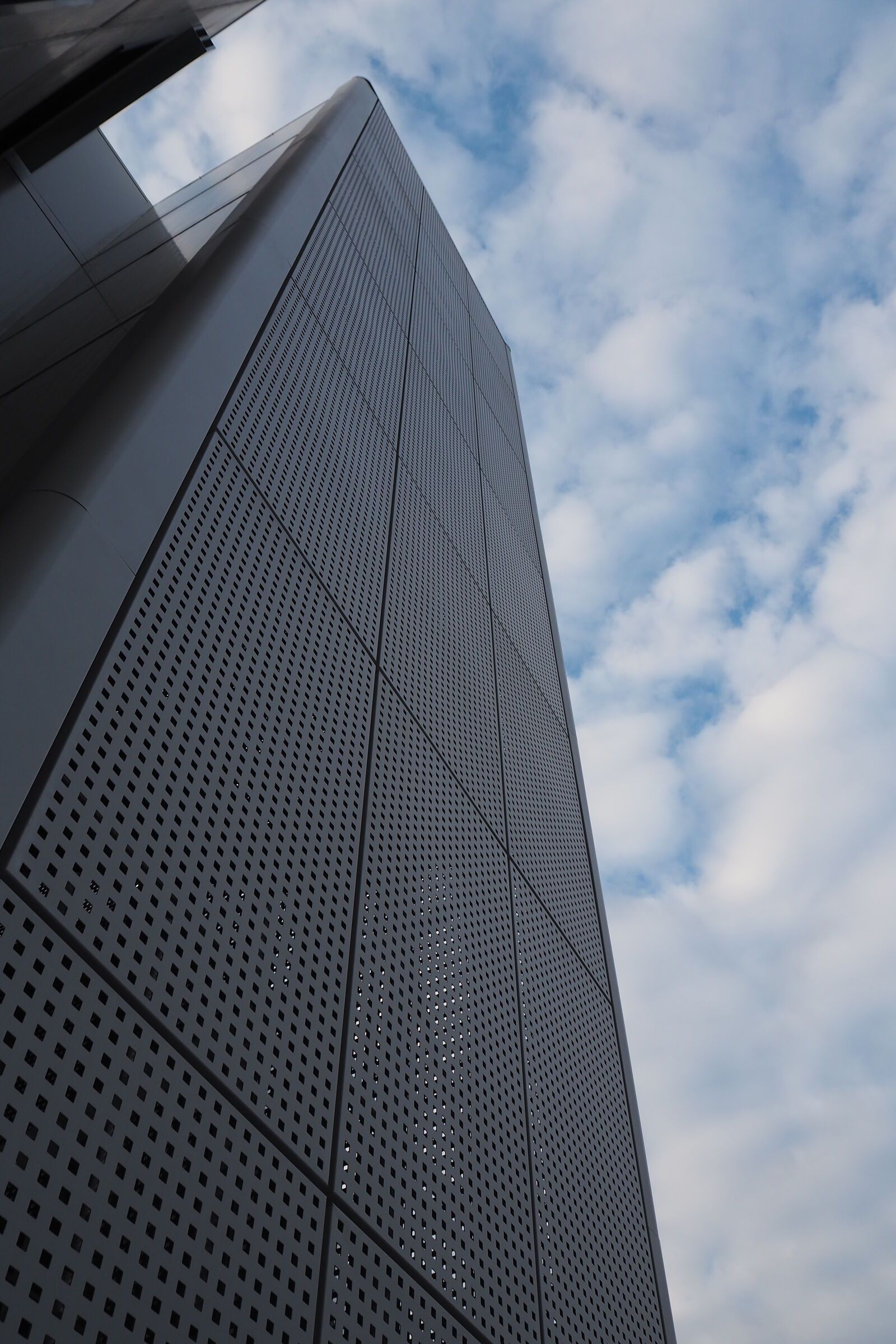 Scale di sicurezza rivestita Effevi per Amer (135__10_copy_1.JPG)