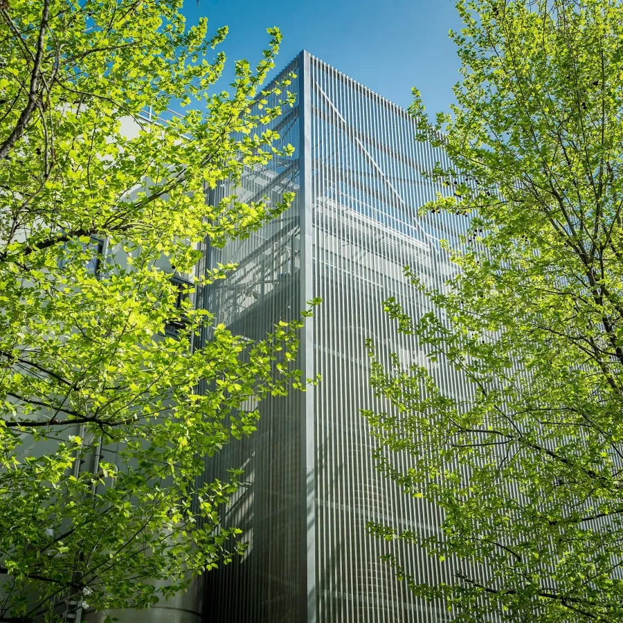 Mitigazione ambientale, una necessità per un ambiente sostenibile